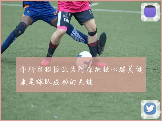 乔科尔称拉亚为阿森纳核心球员健康是球队成功的关键