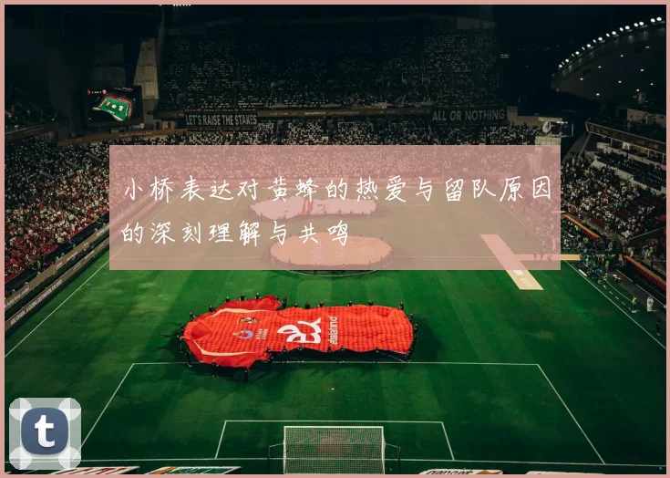 小桥表达对黄蜂的热爱与留队原因的深刻理解与共鸣